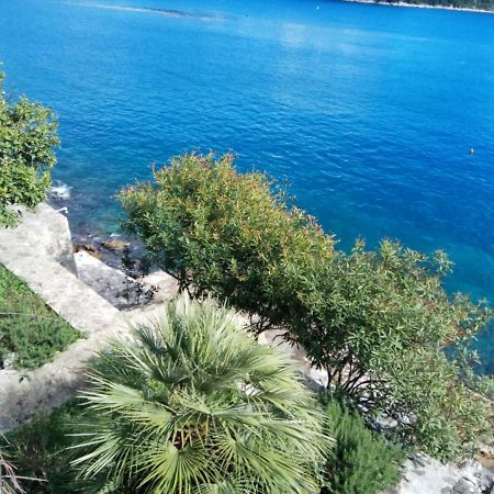 Mljet 4You - Beach House Sobra Exteriér fotografie